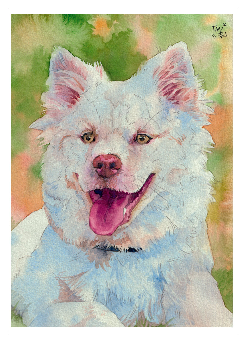 Portrait animalier personnalisé à l'aquarelle